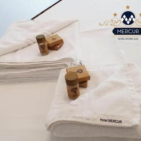 호텔 Mercur 3*